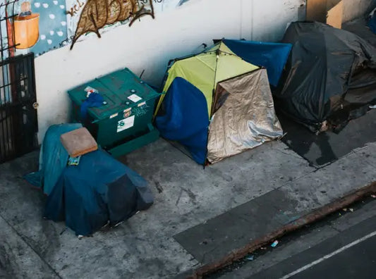 The Changing Face of Homelessness in the U.S.