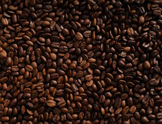 The Journey of a Coffee Bean