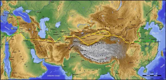 The Silk Road Impact on Southern Asia